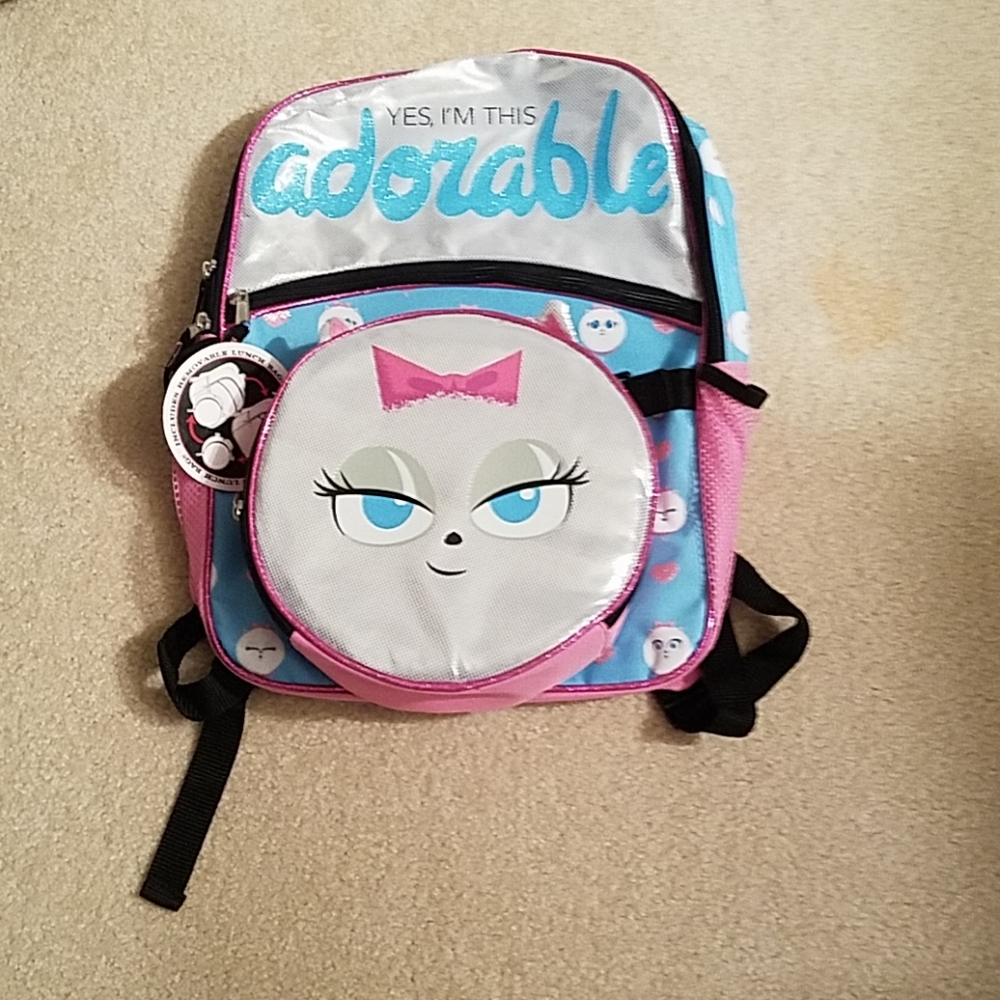 3 for $30. Backpack w/ lunch bag- secret life of pets 2